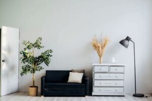 Tips for Choosing a Quality Cannabis Dispensary